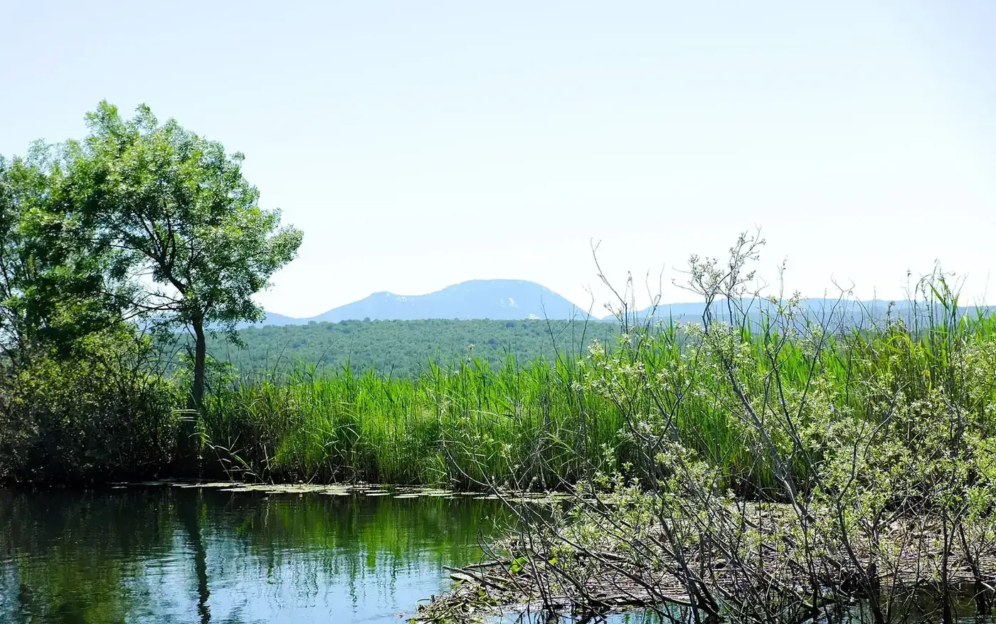 محمية هوتوفو بلاتو
