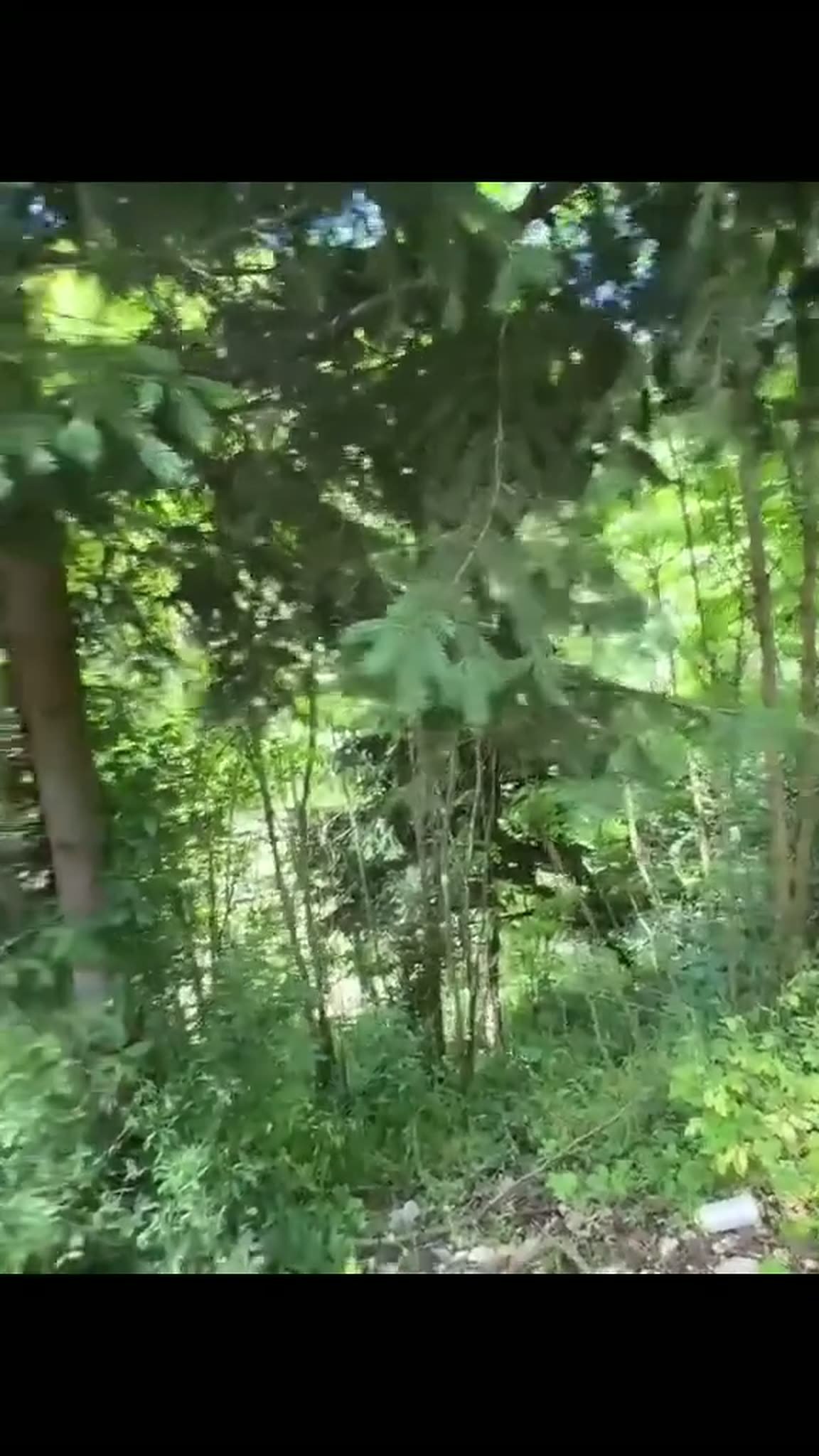 فيلا ملاصقة للنهر في فيسوكو — 5