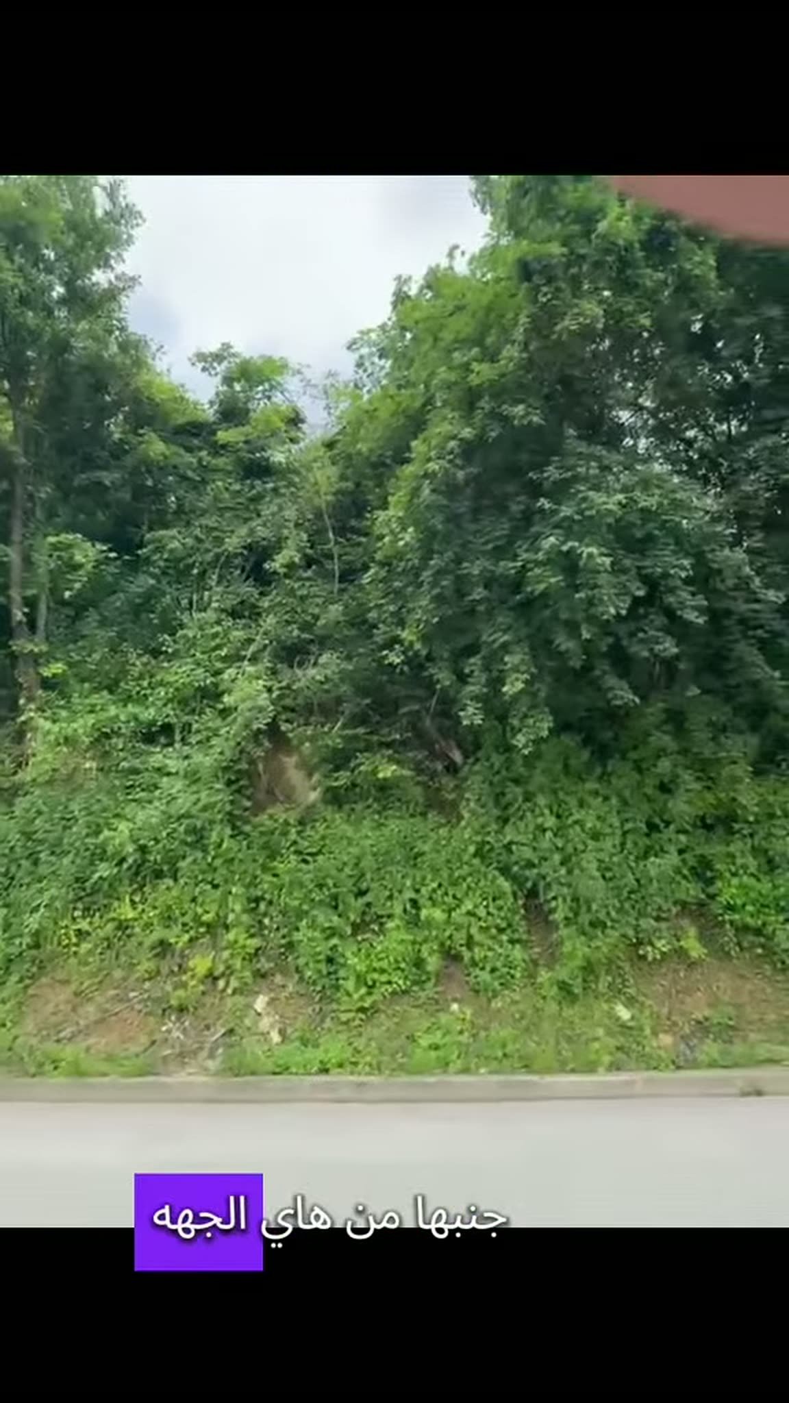 Investment land of over 4 dunums with a new building, Hadžići — 6